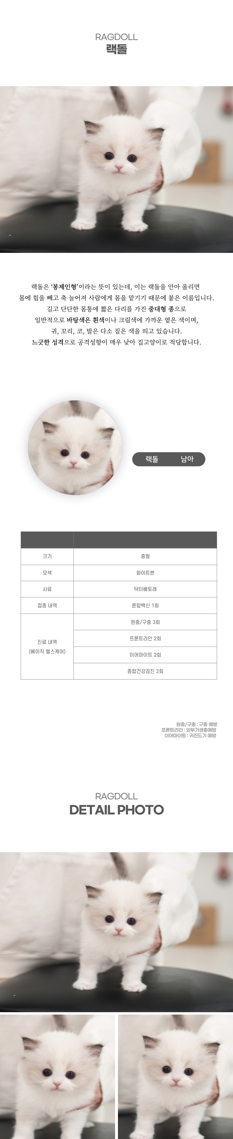 랙돌_상세이미지_2